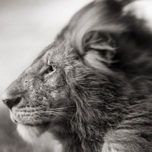 Meet your Posher, Martin